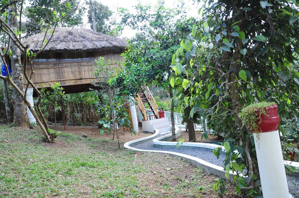 טקאדי Green Ark Resorts מראה חיצוני תמונה